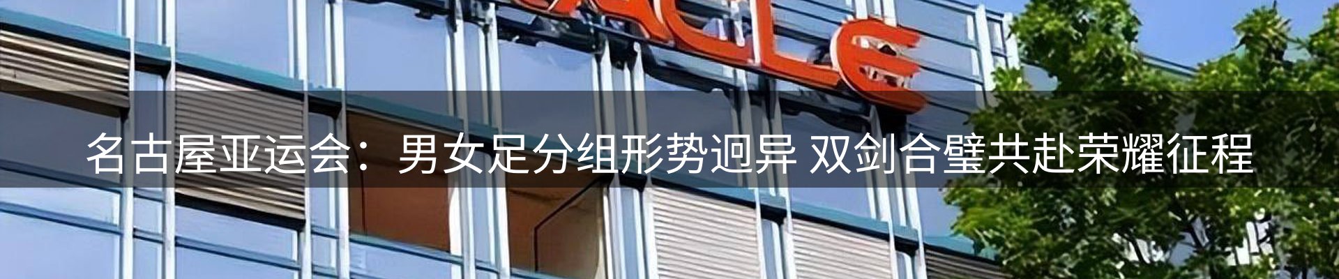 新闻动态
