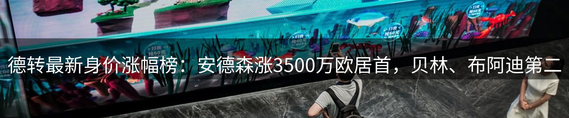 新闻动态