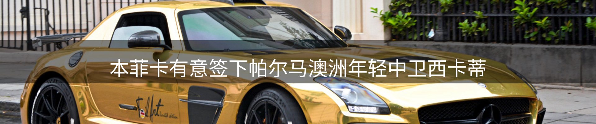 新闻动态