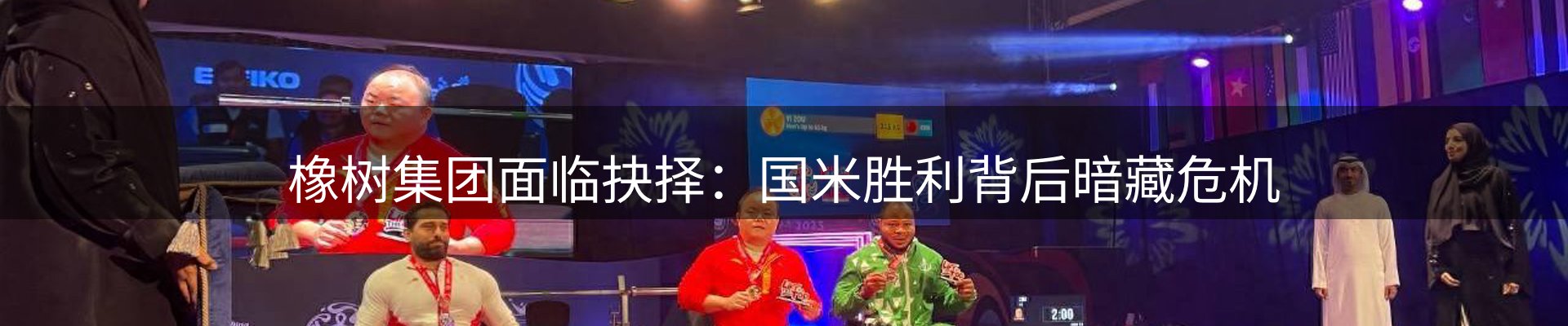 新闻动态