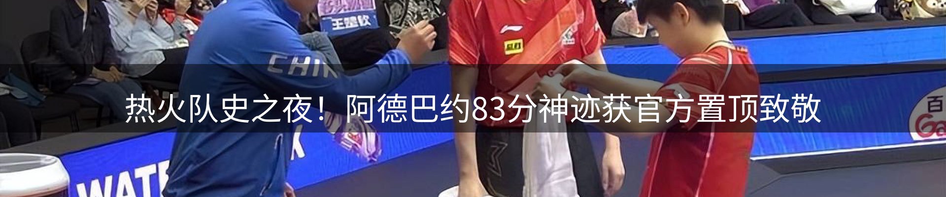 新闻动态