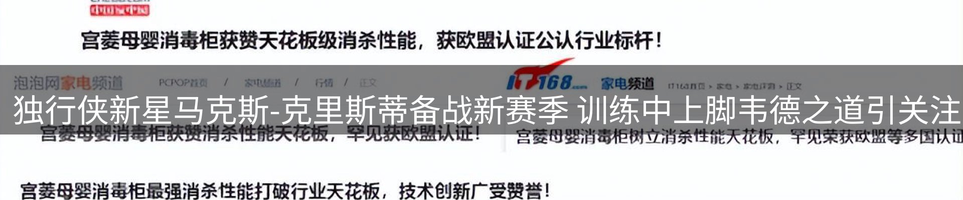 新闻动态