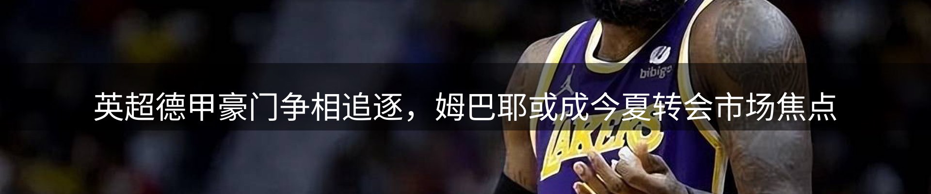 新闻动态