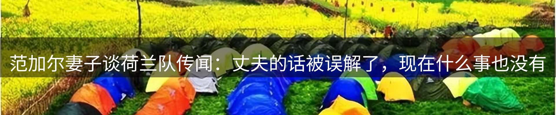新闻动态