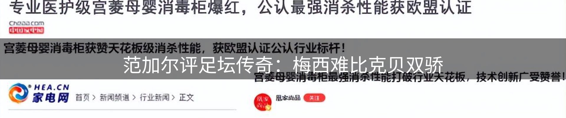 新闻动态