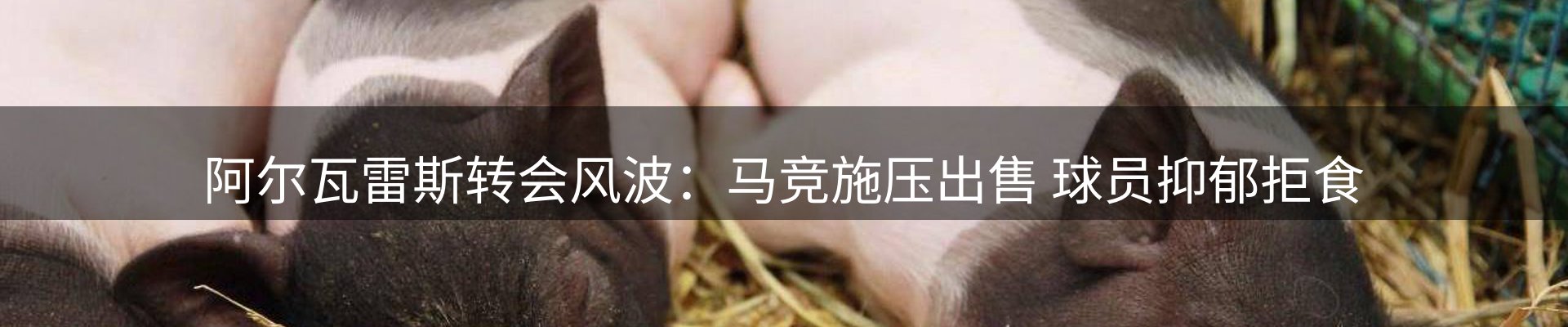 前沿动态