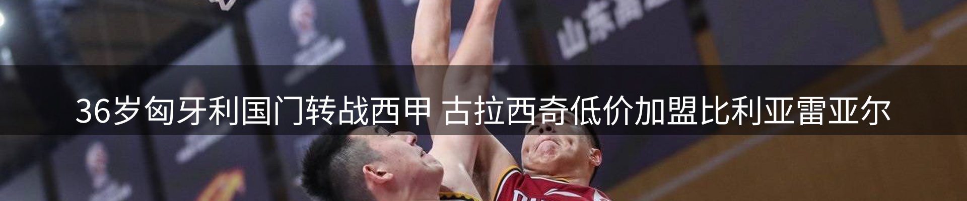 新闻动态
