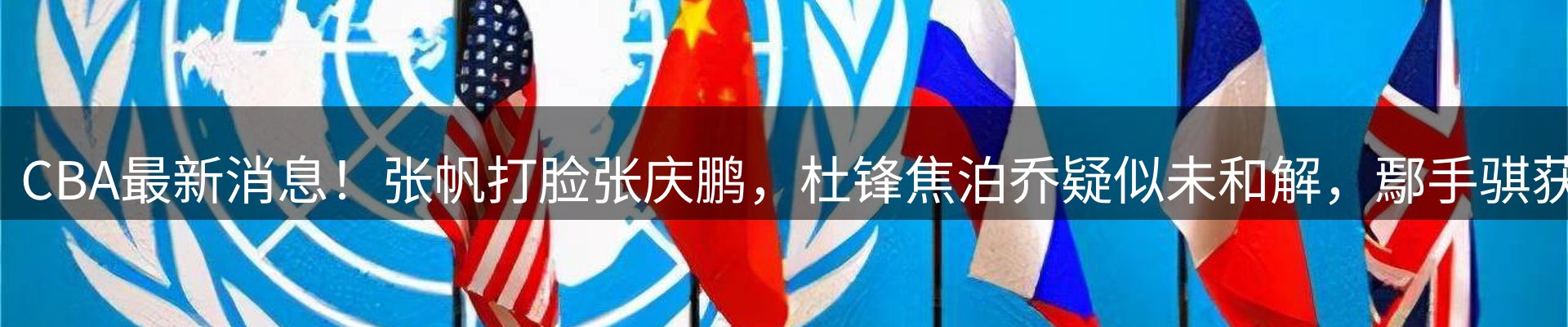新闻动态